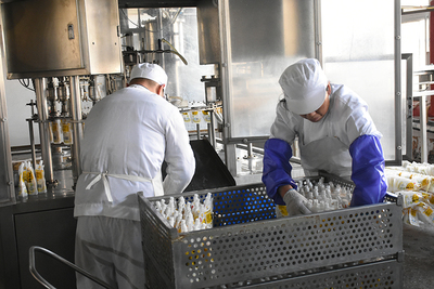 追本溯源 探访平度原生态农业与匠心酒类经营